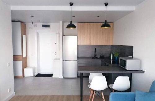 Juarez Municipality Apartment | Ammar Castro House