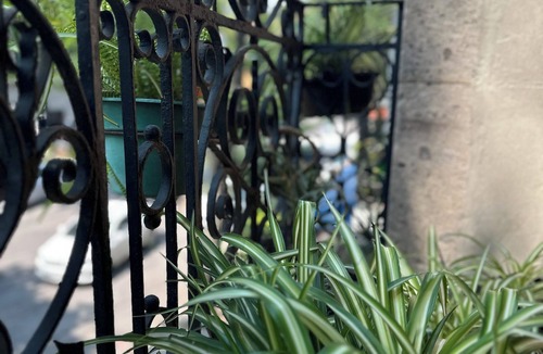 Zona Rosa Apartment | Apt. in Colonia Juarez near to Roma Norte Neoclassic Style w Balcony WiFi 1BR