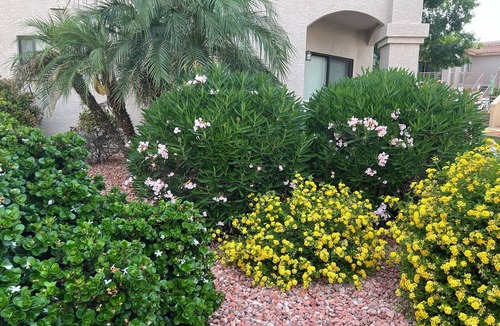 Greenway Palms Condo | Awesome Summer Rate!, Delightful Condo 55+ Gated w/soft water pool,