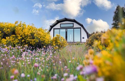 Williams Other | Backland Luxury Nature Resort