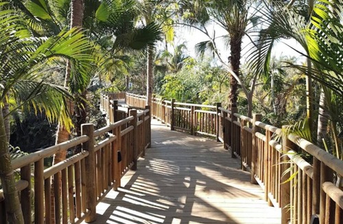 Isla Iguana Hotel | Beach resort w/balcony ft lush pools, dining, fitness, spa & resort activities.