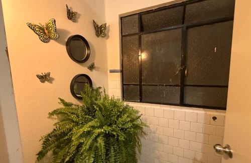 Hipodromo House | Bears house condesa-roma norte