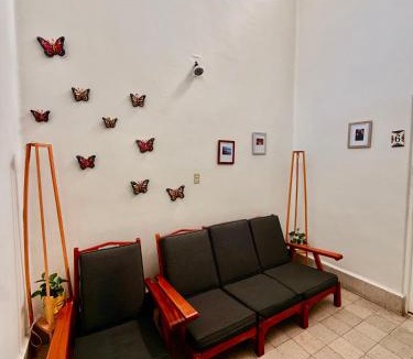 Hipodromo House | Bears house condesa-roma norte