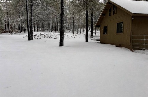 Munds Park Cabin | Beautiful 2BR + Loft Retreat in the Pines Close to Sedona & Flagstaff