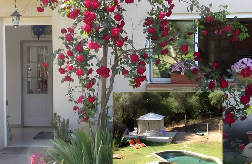 Olmeto Bed & Breakfast | Bed and Breakfast 'Van Gogh - U Pianarellu' with Sea View, Wi-Fi and Air Conditioning