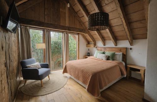 San Cristobal de las Casas Ski Chalet | Bosque del Tule 132