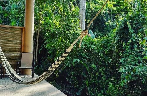 Nuevo Orizaba Hotel | Canto de la Selva Jungle Lodge Selva Lacandona Chiapas