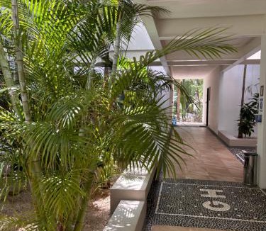 Akumal Apartment | Caribbean Golf and Beach Retreat