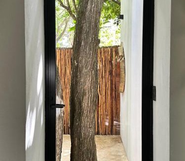 Chetumal Villa | Casa Árabe