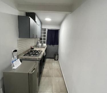 Chihuahua House | Casa bbb