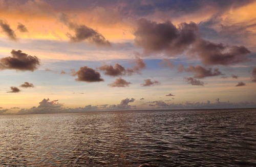 Merida Cabin | Casa Blanca where you can reconnect with nature & enjoy tranquility by the sea.