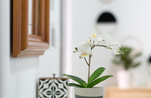 Del Carmen Apartment | Casa Cielo