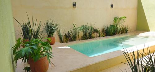 Valladolid House | Casa Zogo Origen