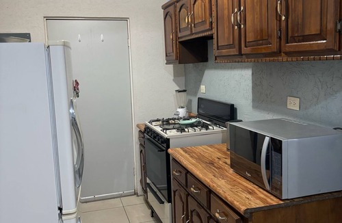 Chihuahua House | Casita Blue