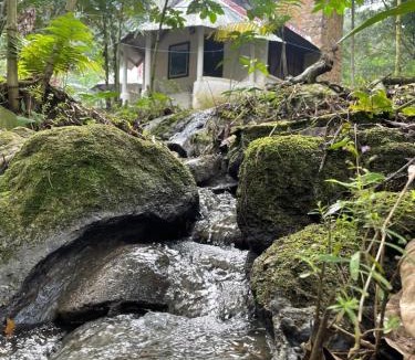 Cintalapa Hotel | Centro ecoturistico Arco del Tiempo