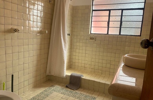 Santa Catarina Apartment | Coyoacan Zentrum Loft by Interhome