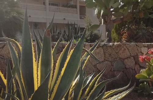 Propriano Apartment | Cozy apartment 600m from the beaches