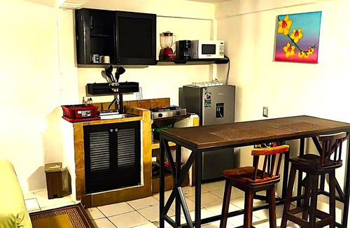 Emiliano Zapata Apartment | Cozy Romantic Zone Studio Walkable Location