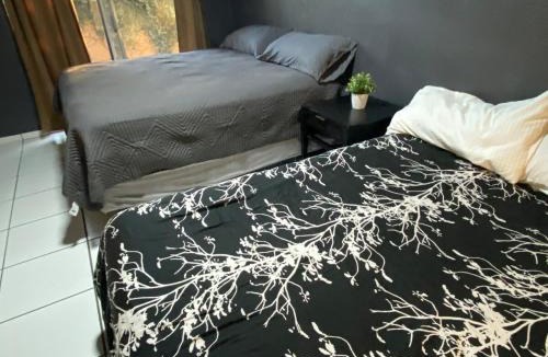 Tijuana Apartment | Departamento con vista al jardín