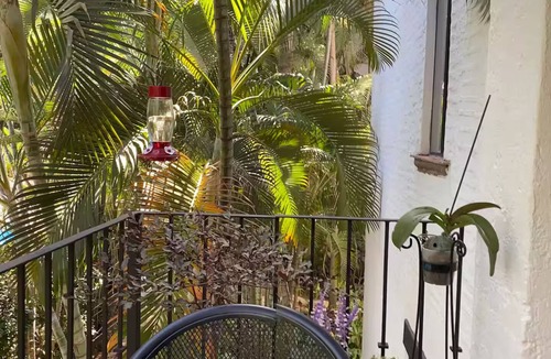 Fluvial Vallarta Apartment | Departamento vista a la pool Marbella305