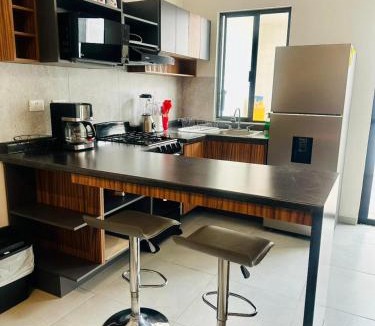 San Luis Potosi Apartment | Depto nuevo en Villa de Pozos 5 min Zona Industrial FACTURAMOS