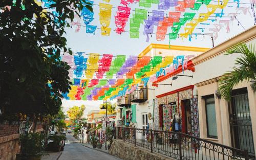 Downtown San Jose del Cabo Hostel | Desert Heart Hostel