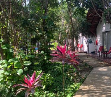 Chemuyil Hotel | Ecovergel Riviera Maya