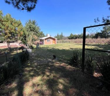 Hidalgo House | El rinconcito
