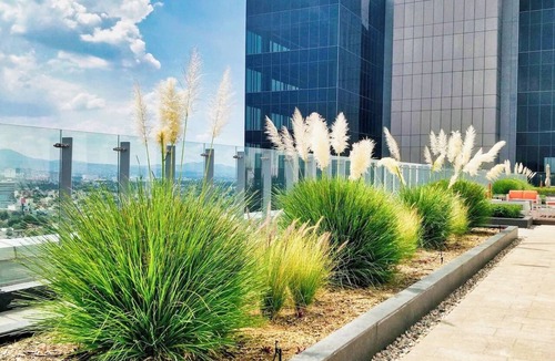 Granada Apartment | FIFA World Cup Ready Polanco Penthouse Panoramic Views, High Speed WiFI