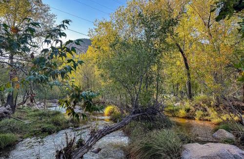 Payson House | Games & Outdoor Seating: Cabin in Scenic Payson!