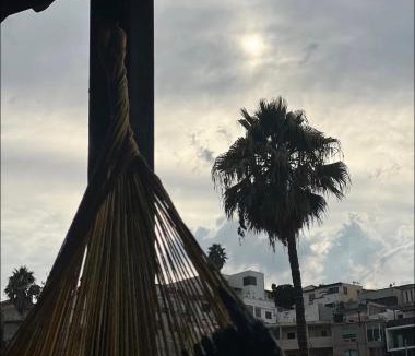 Tijuana House | Garden and chill