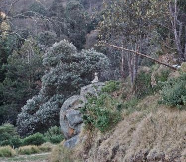 Hidalgo Other | Glamping Entre las Nubes
