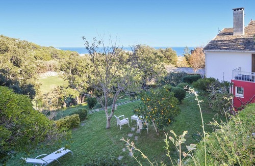 Erbalunga Apartment | Gorgeous apartment in ERBALUNGA with WiFi