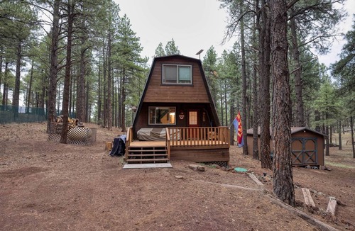 Williams House | Grand Gateway Cabin | 1-Acre Pine Retreat, Rt. 66