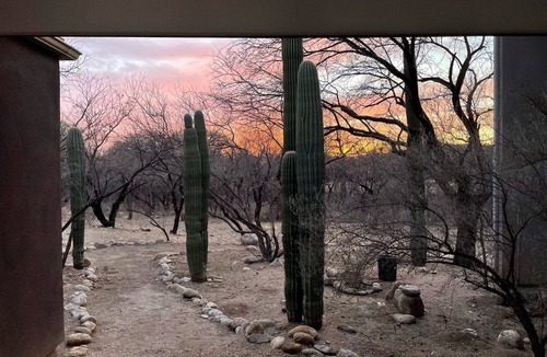 Tanque Verde Apartment | Guesthouse among Saguaros