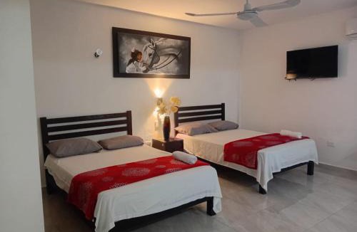 Felipe Carrillo Puerto Hotel | Habitaciones Aurelia