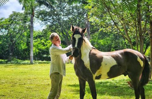 Kanasin Bed & Breakfast | Hacienda San Antonio