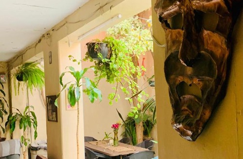 Downtown Guadalajara House | Hostal Casa Margarito