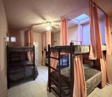 Zona Minerva House | Hostal Punto Americana