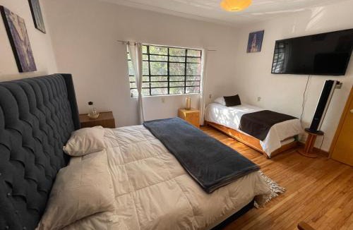 Hipodromo Bed & Breakfast | Hostal Roma Condesa