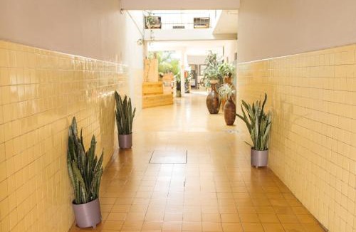Historic Centre Hotel | Hotel Allende Morelia
