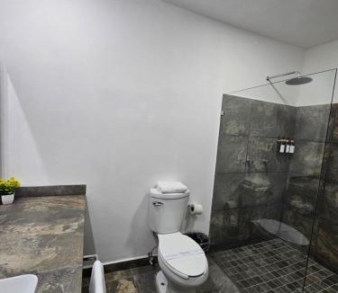 Alvaro Obregon Hotel | Hotel Ejecutivo Aeropuerto