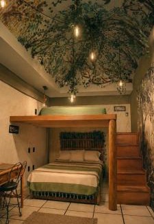 Del Carmen Hotel | Hotel Frida