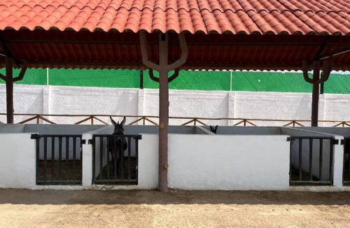 Hermosillo Cabin | HOTEL LA LEYENDA SONORA