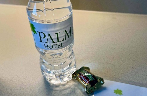 Hermosillo Hotel | Hotel las Palmas