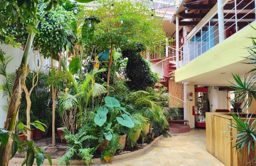Del Cerrillo Hotel | Hotel Barrio Antiguo