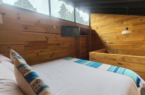 San Cristobal de las Casas Apartment | Jlumal Cabañas