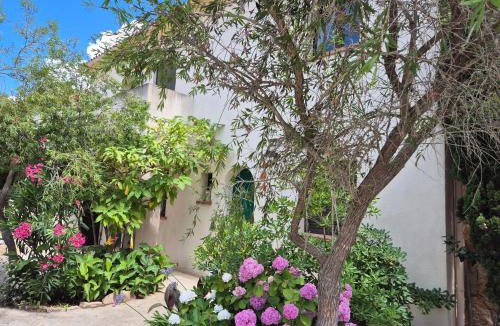 Calvi Apartment | Joli appartement climatisé avec terrasse à moin 10 minutes à pieds de la plage