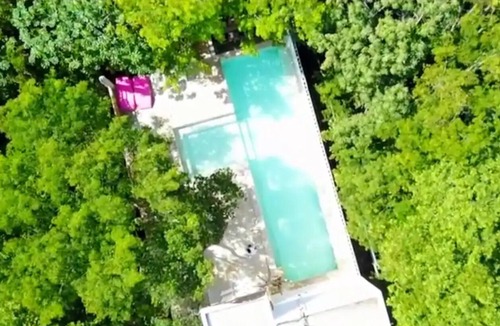 Akumal House | King of the Jungle!