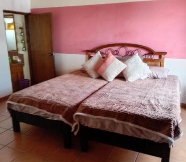 Zona Centro House | La camelina